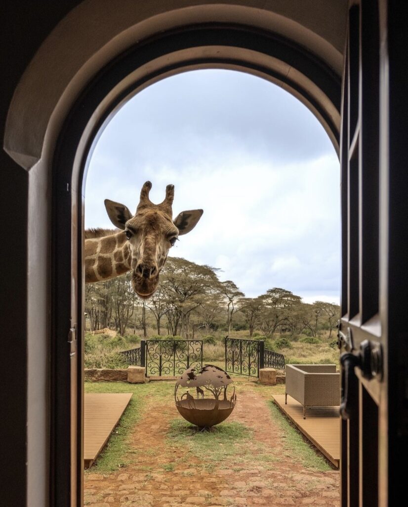 Giraffe Manor Hotel