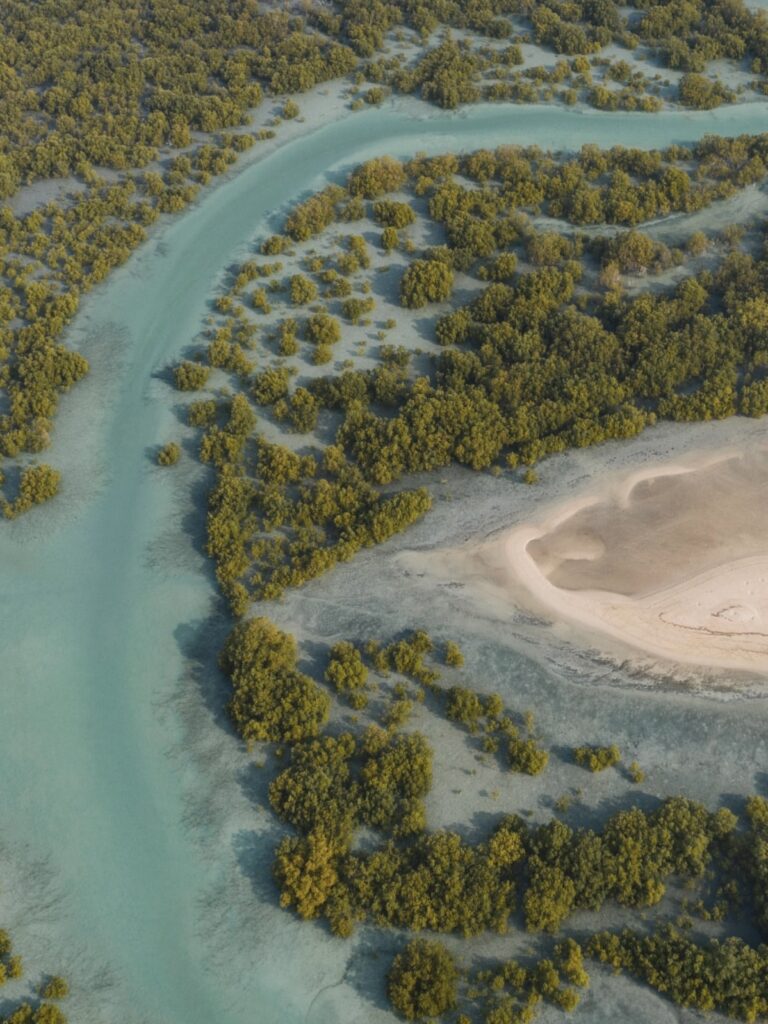 A Dream Retreat: Exploring Anantara Sir Bani Yas Resort 28 EHF Sir Bani Yas Island